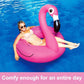 Frendorf | Aufblasbarer Flamingo Pool Float