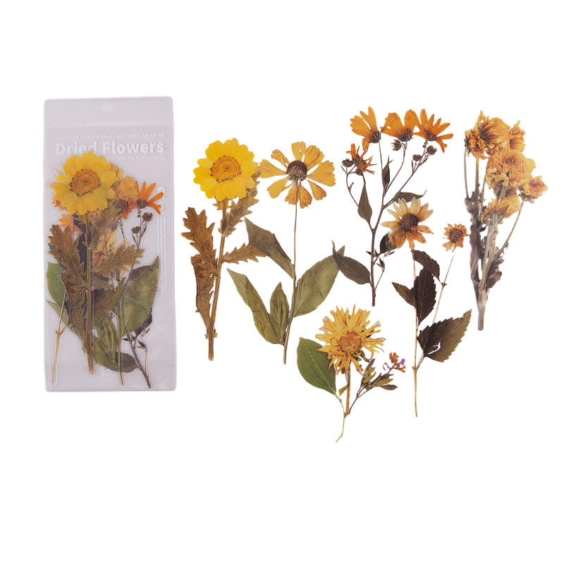 Getrocknete Blumen Aufkleber Set