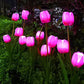 Solar Tulpe Rasenlicht Außen Garten LED Tulpe Blumenlicht Bodenstecker Landschaftslicht