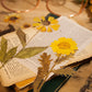 Getrocknete Blumen Aufkleber Set