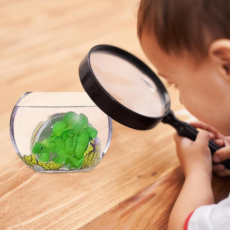 Frendorf | 2024 Ostertagskarten mit Dinosauriereiern 24 Stück/Set