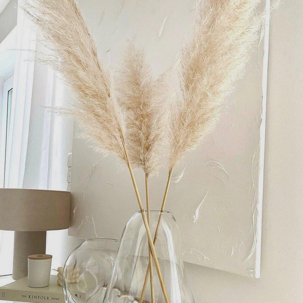 80 cm natürlicher, echter getrockneter Pampasgrasstrauß (weiß / beige / grau) │ flauschige Feder für moderne Boho-Heimdekoration