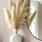 80 cm natürlicher, echter getrockneter Pampasgrasstrauß (weiß / beige / grau) │ flauschige Feder für moderne Boho-Heimdekoration