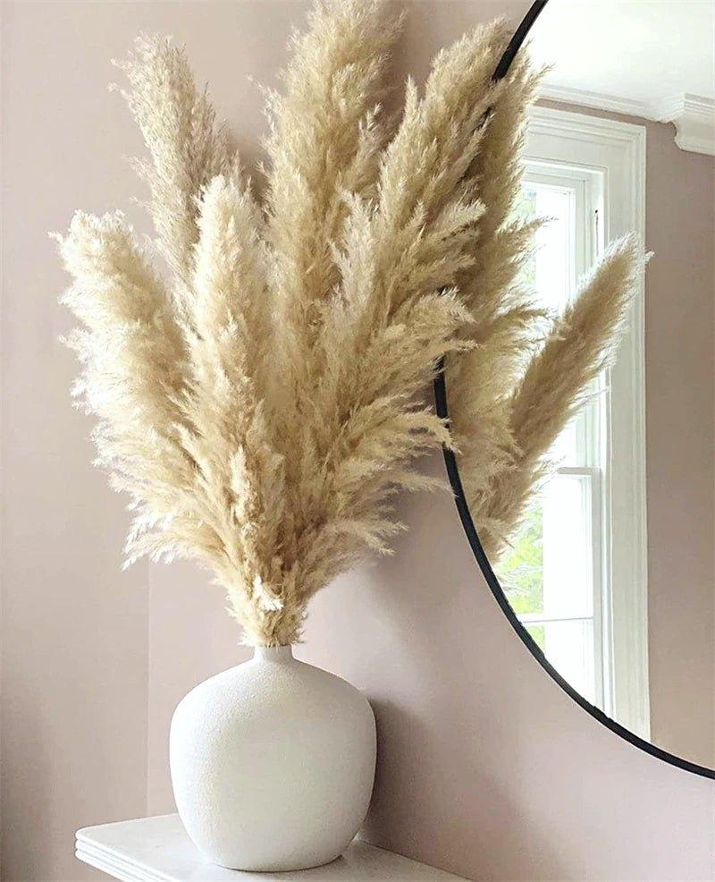 80 cm natürlicher, echter getrockneter Pampasgrasstrauß (weiß / beige / grau) │ flauschige Feder für moderne Boho-Heimdekoration