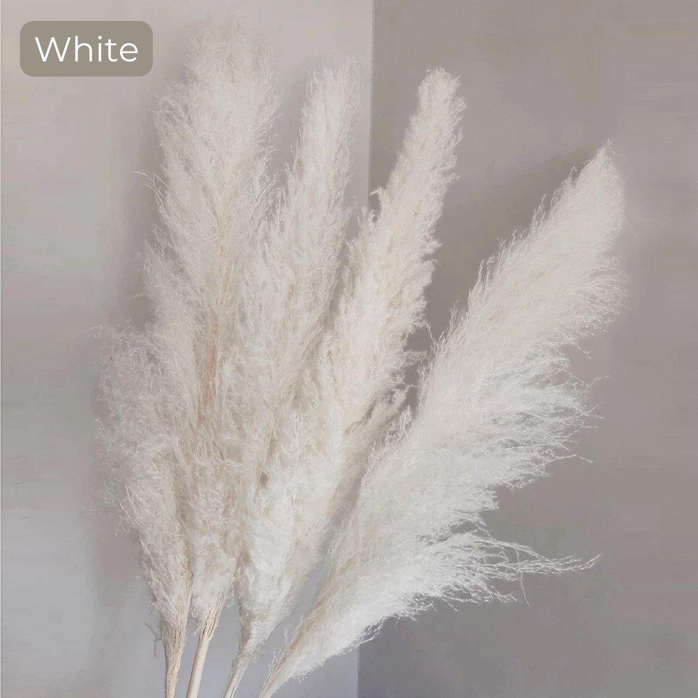 80 cm natürlicher, echter getrockneter Pampasgrasstrauß (weiß / beige / grau) │ flauschige Feder für moderne Boho-Heimdekoration