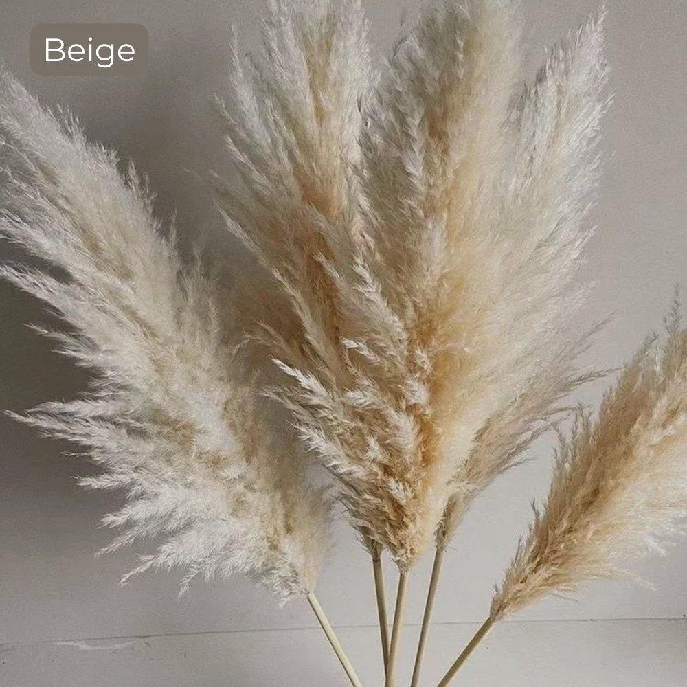 80 cm natürlicher, echter getrockneter Pampasgrasstrauß (weiß / beige / grau) │ flauschige Feder für moderne Boho-Heimdekoration