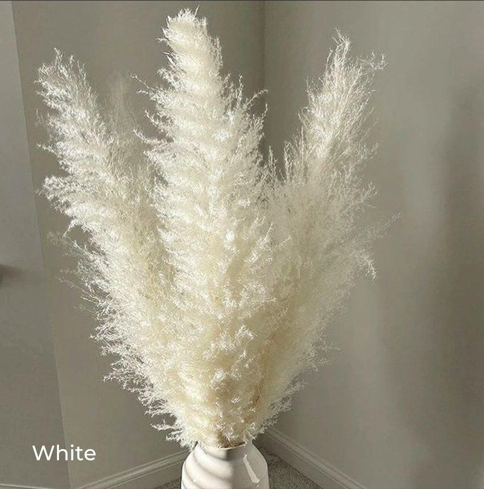 80 cm natürlicher, echter getrockneter Pampasgrasstrauß (weiß / beige / grau) │ flauschige Feder für moderne Boho-Heimdekoration