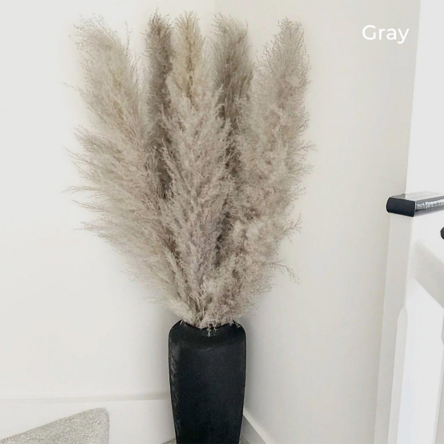 80 cm natürlicher, echter getrockneter Pampasgrasstrauß (weiß / beige / grau) │ flauschige Feder für moderne Boho-Heimdekoration
