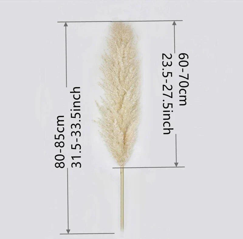 80 cm natürlicher, echter getrockneter Pampasgrasstrauß (weiß / beige / grau) │ flauschige Feder für moderne Boho-Heimdekoration