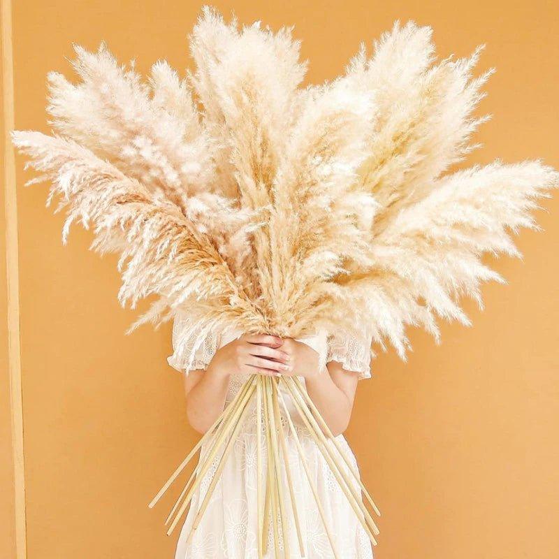 80 cm natürlicher, echter getrockneter Pampasgrasstrauß (weiß / beige / grau) │ flauschige Feder für moderne Boho-Heimdekoration