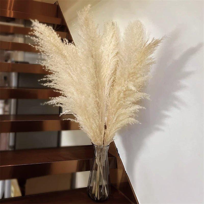 80 cm natürlicher, echter getrockneter Pampasgrasstrauß (weiß / beige / grau) │ flauschige Feder für moderne Boho-Heimdekoration