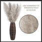 80 cm natürlicher, echter getrockneter Pampasgrasstrauß (weiß / beige / grau) │ flauschige Feder für moderne Boho-Heimdekoration