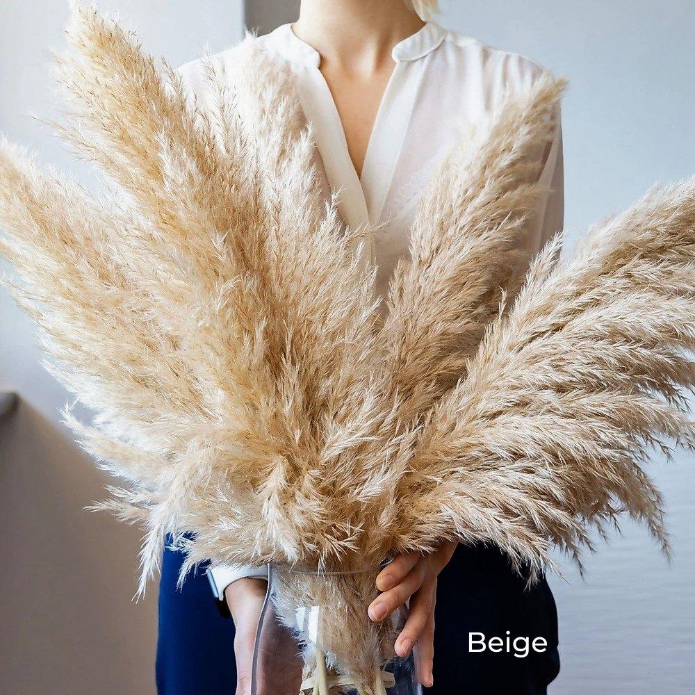 80 cm natürlicher, echter getrockneter Pampasgrasstrauß (weiß / beige / grau) │ flauschige Feder für moderne Boho-Heimdekoration