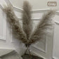80 cm natürlicher, echter getrockneter Pampasgrasstrauß (weiß / beige / grau) │ flauschige Feder für moderne Boho-Heimdekoration