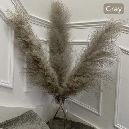 80 cm natürlicher, echter getrockneter Pampasgrasstrauß (weiß / beige / grau) │ flauschige Feder für moderne Boho-Heimdekoration