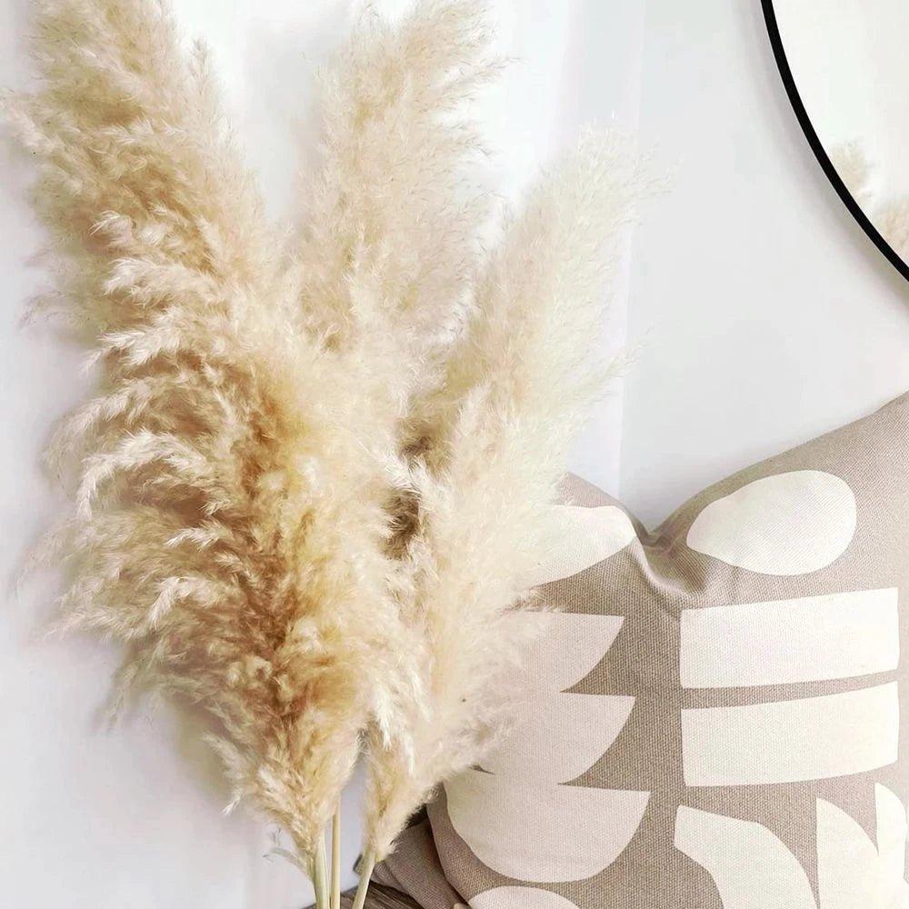 80 cm natürlicher, echter getrockneter Pampasgrasstrauß (weiß / beige / grau) │ flauschige Feder für moderne Boho-Heimdekoration