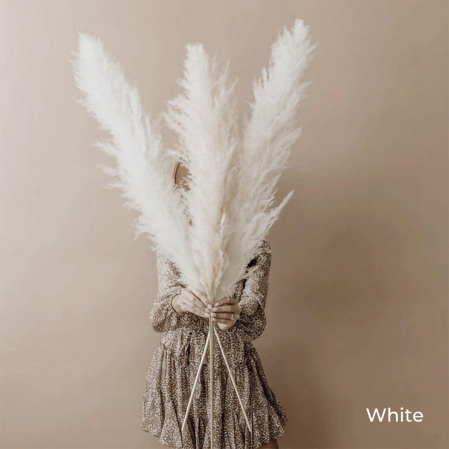 80 cm natürlicher, echter getrockneter Pampasgrasstrauß (weiß / beige / grau) │ flauschige Feder für moderne Boho-Heimdekoration