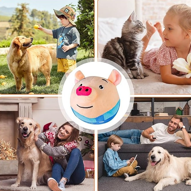 Frendorf |  Interaktives Plüschtier Für Hunde