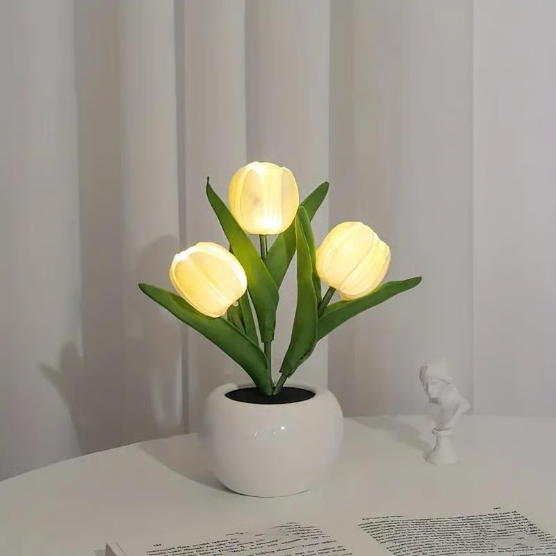 Frendorf | BloomTulip – Romantik & Licht in einem!