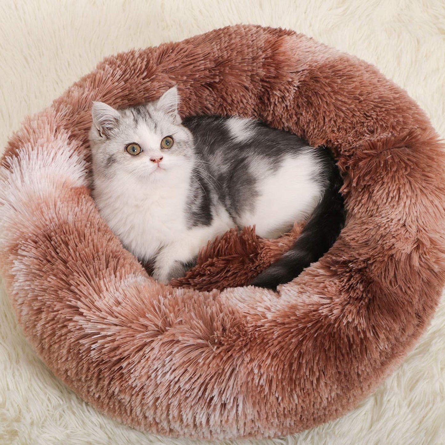 Runde Regenbogen Extra Plüsch Beruhigende Donut Katzenbett