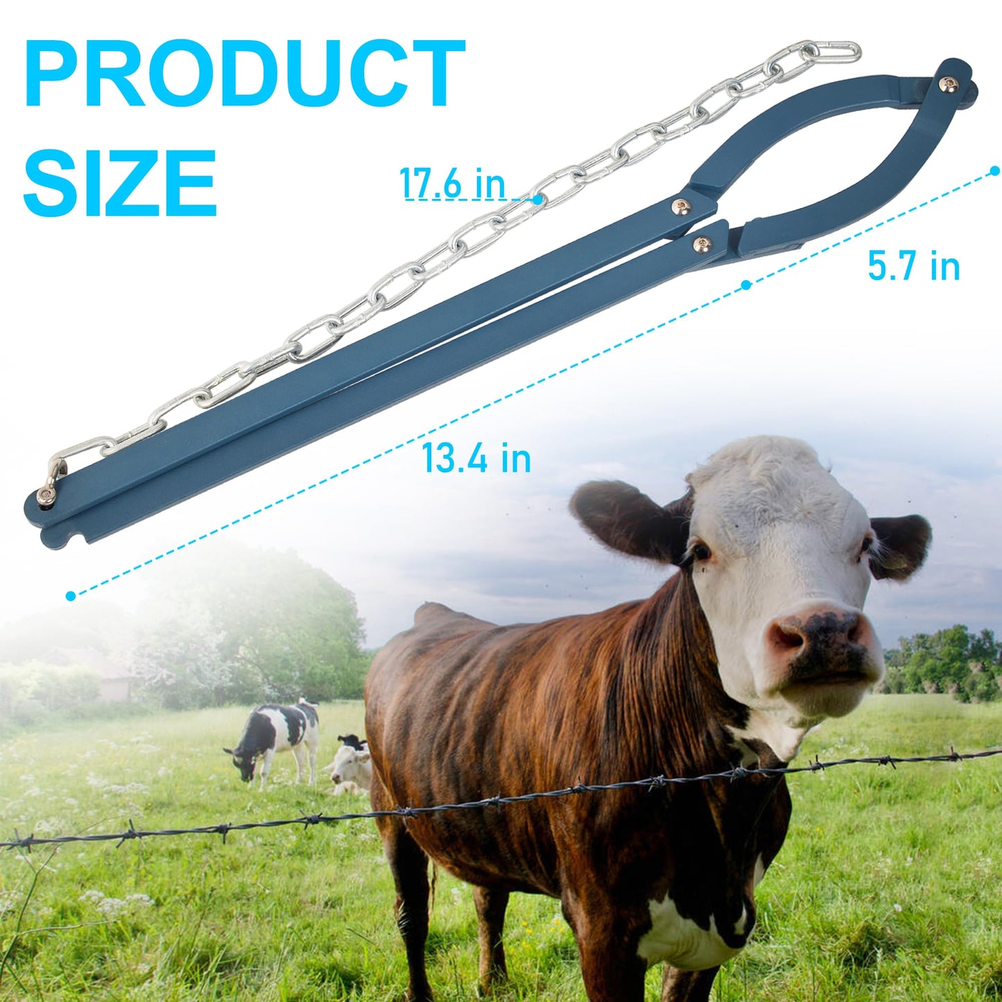 Frendorf | Manuelle Zaunreparatur Retainer