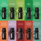 Frendorf | Ultraschall-Diffusor & Top 10 ätherische Öle - 400ml Diffusor