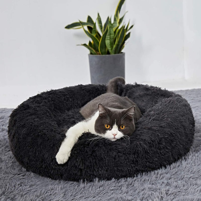 Runder Plüsch beruhigender Donut-Katzenbett-Nest