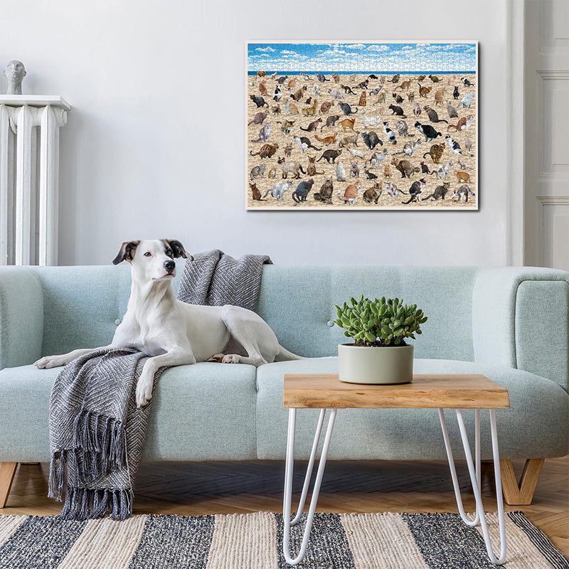 Frendorf | Beach Pooping Cat Puzzle 1000 Teile