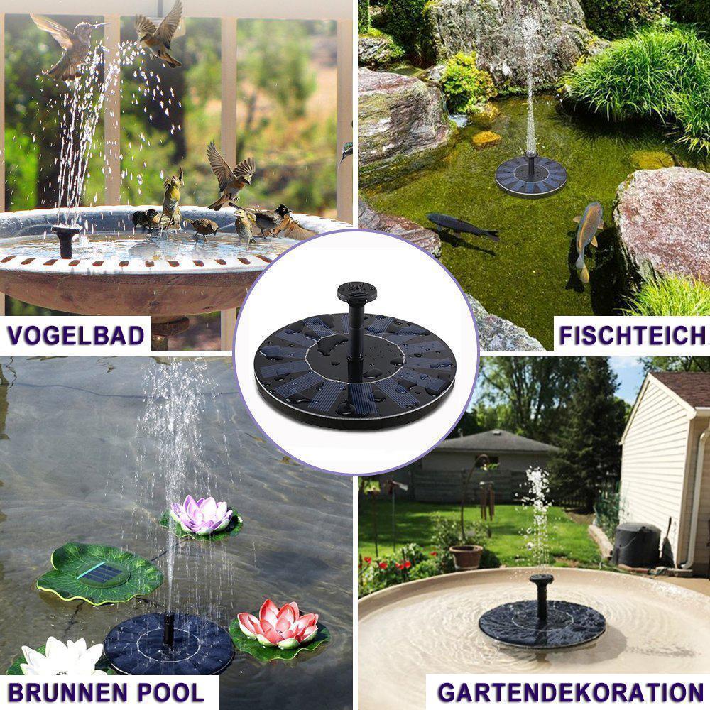 Frendorf |  Solar Springbrunnen Pumpe
