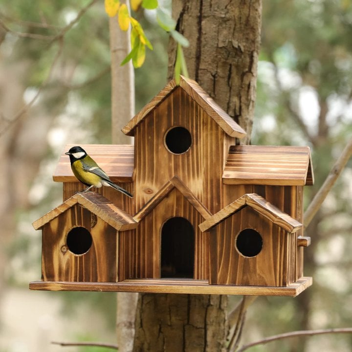 Frendorf | Vogelhaus mit 6 Löchern