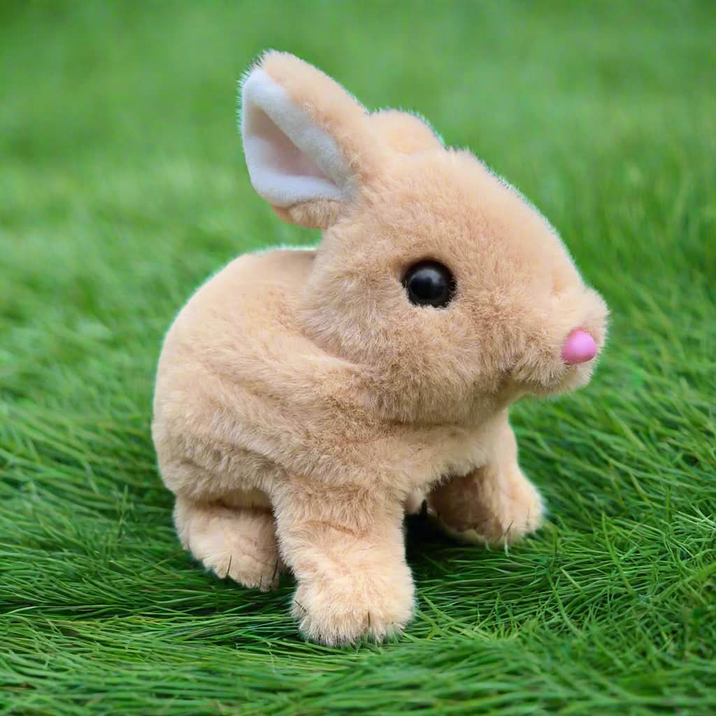 Frendorf | Bewegung & Sound für endlosen Spaß