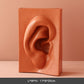 Frendorf | SensuGlow Kunstvolle Sinnesvase | Modernes Design | Dekoration & Geschenkidee
