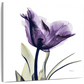 Frendorf | Royal Purple Parrot Tulpen Wandkunst