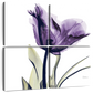 Frendorf | Royal Purple Parrot Tulpen Wandkunst