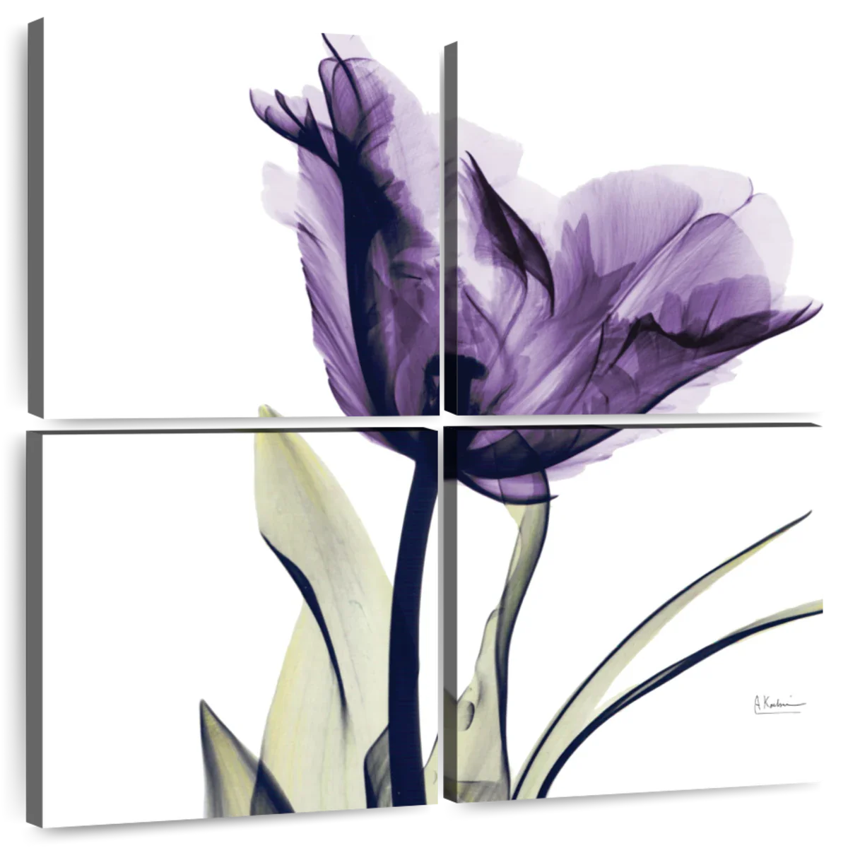 Frendorf | Royal Purple Parrot Tulpen Wandkunst