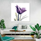 Frendorf | Royal Purple Parrot Tulpen Wandkunst