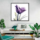 Frendorf | Royal Purple Parrot Tulpen Wandkunst