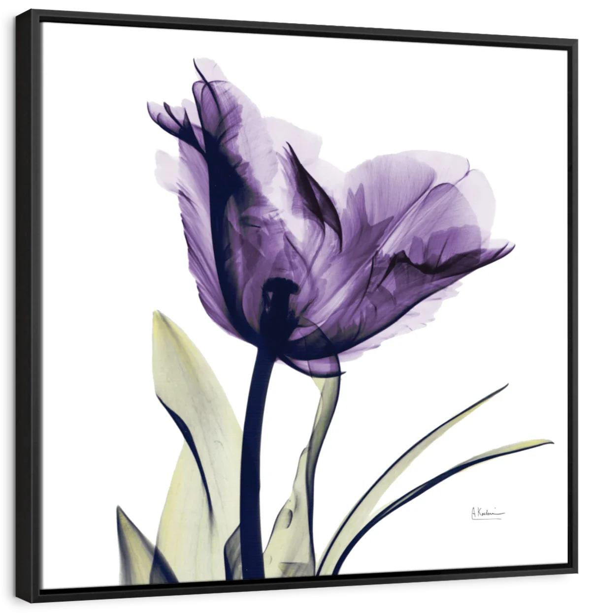 Frendorf | Royal Purple Parrot Tulpen Wandkunst