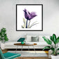 Frendorf | Royal Purple Parrot Tulpen Wandkunst