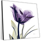 Frendorf | Royal Purple Parrot Tulpen Wandkunst