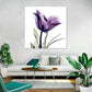 Frendorf | Royal Purple Parrot Tulpen Wandkunst