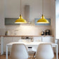 Frendorf | UrbanGlow Industrielle Pendelleuchte | Farbige Barn Shade Hängeleuchte | 1-flammig für Küche & Esszimmer