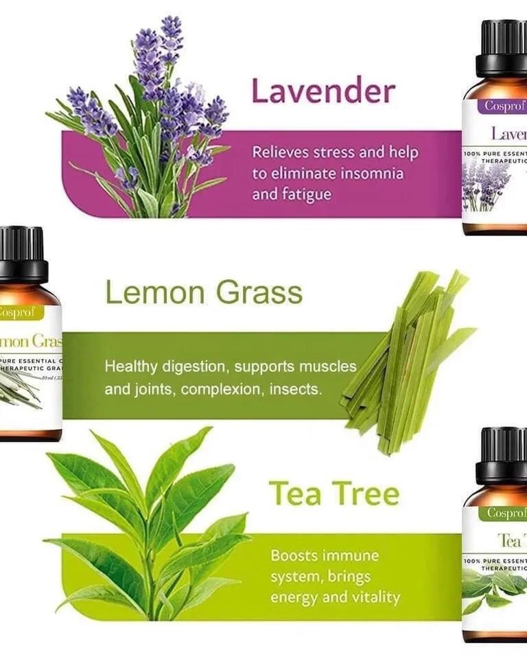 Set Of 12 Pure Essential Oils Gift Set
