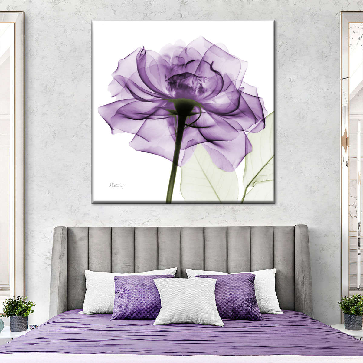 Frendorf | Ein lila Rosen Wandkunst