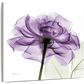 Frendorf | Ein lila Rosen Wandkunst