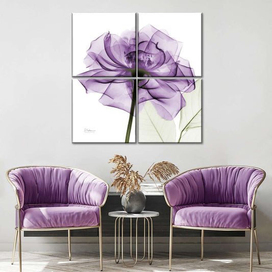 Frendorf | Ein lila Rosen Wandkunst
