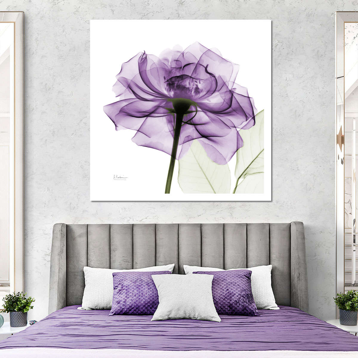 Frendorf | Ein lila Rosen Wandkunst