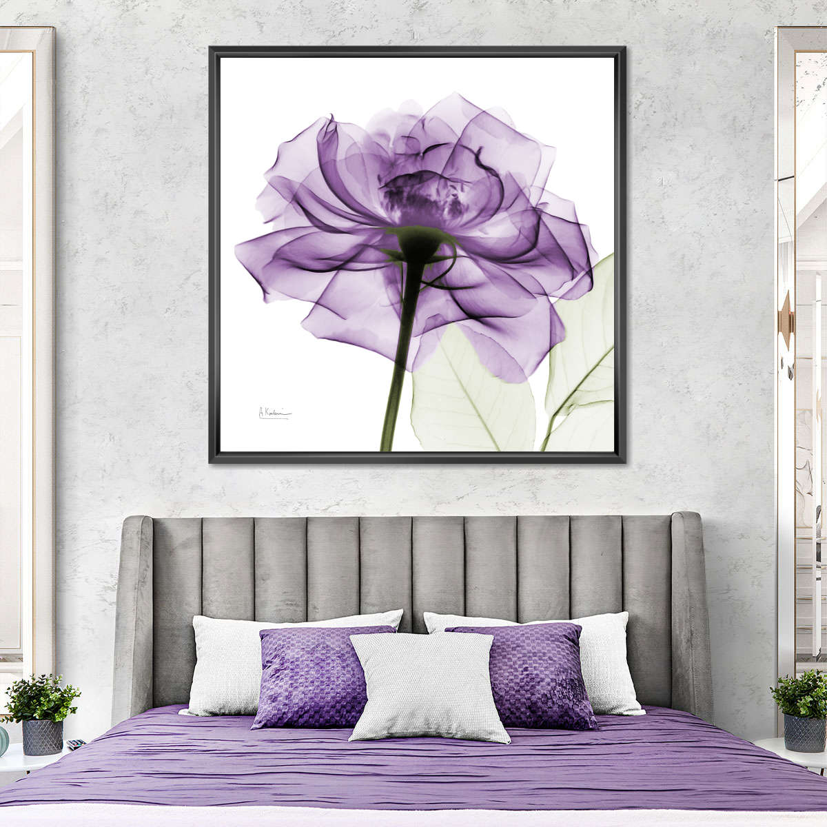 Frendorf | Ein lila Rosen Wandkunst