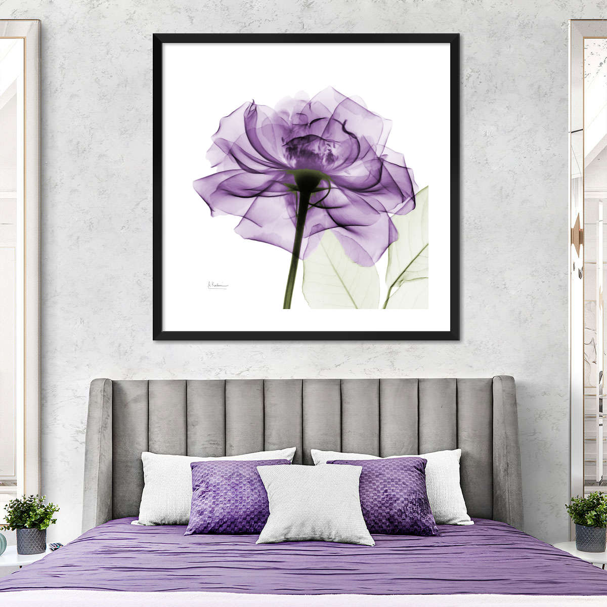 Frendorf | Ein lila Rosen Wandkunst