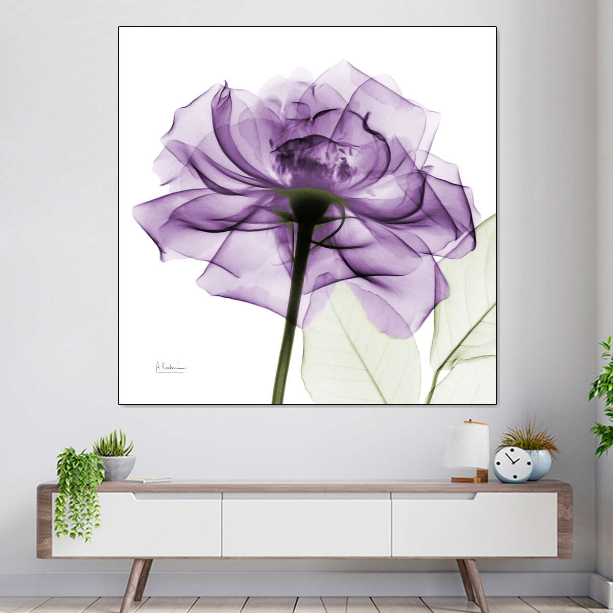 Frendorf | Ein lila Rosen Wandkunst